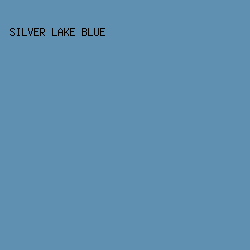 5f90b2 - Silver Lake Blue color image preview