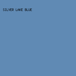 608ab4 - Silver Lake Blue color image preview