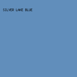 618EBB - Silver Lake Blue color image preview