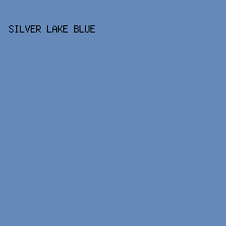 658AB9 - Silver Lake Blue color image preview