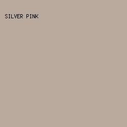 BAAA9E - Silver Pink color image preview