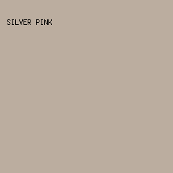 BBAD9F - Silver Pink color image preview