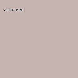 C6B4B0 - Silver Pink color image preview