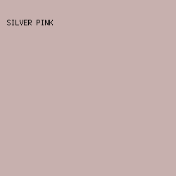 C7B0AE - Silver Pink color image preview