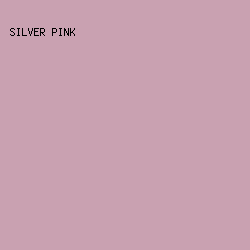 C9A1B1 - Silver Pink color image preview