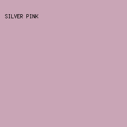 C9A5B6 - Silver Pink color image preview