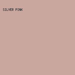 C9A79F - Silver Pink color image preview