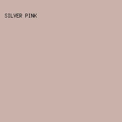 C9B2A9 - Silver Pink color image preview
