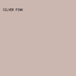 CBB6B0 - Silver Pink color image preview