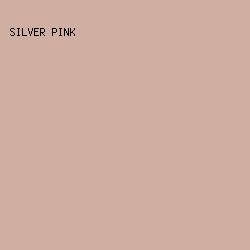 D0AEA2 - Silver Pink color image preview