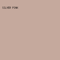 c5a99d - Silver Pink color image preview