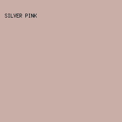 c9ada7 - Silver Pink color image preview