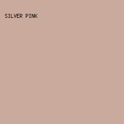 cbaa9e - Silver Pink color image preview