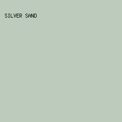 BCCBBC - Silver Sand color image preview