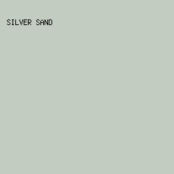 c3ccc0 - Silver Sand color image preview