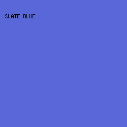 5A67D9 - Slate Blue color image preview