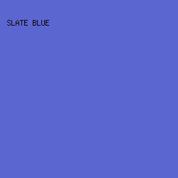 5C66D0 - Slate Blue color image preview