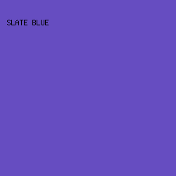 664dc1 - Slate Blue color image preview