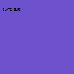 6E51CD - Slate Blue color image preview