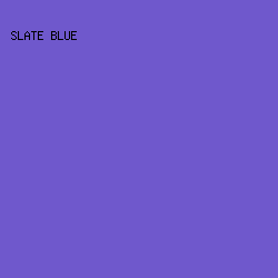 6F58CC - Slate Blue color image preview