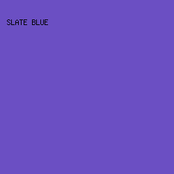 6b4fc3 - Slate Blue color image preview