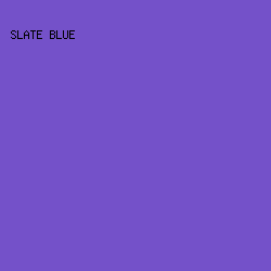 7451c9 - Slate Blue color image preview