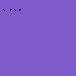 7f5aca - Slate Blue color image preview