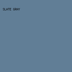 617e96 - Slate Gray color image preview
