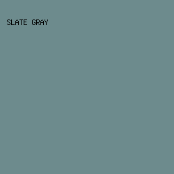 6D8B8D - Slate Gray color image preview