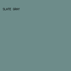 6D8C8A - Slate Gray color image preview