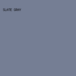 757E94 - Slate Gray color image preview