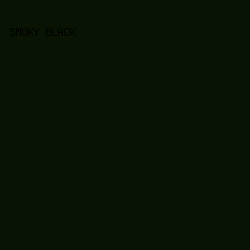 091304 - Smoky Black color image preview