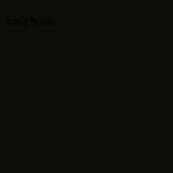 0B0C06 - Smoky Black color image preview