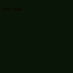 0B1606 - Smoky Black color image preview