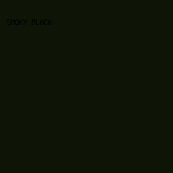 0E1507 - Smoky Black color image preview