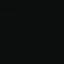 0b0e0d - Smoky Black color image preview