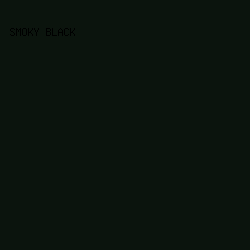 0b140d - Smoky Black color image preview