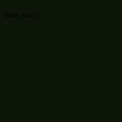 0c1507 - Smoky Black color image preview