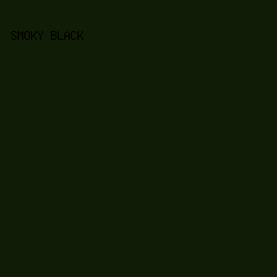 101c05 - Smoky Black color image preview
