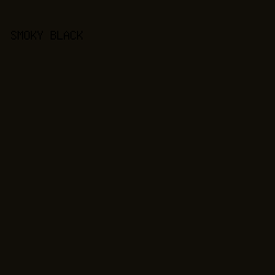 110e08 - Smoky Black color image preview