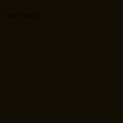 120e06 - Smoky Black color image preview