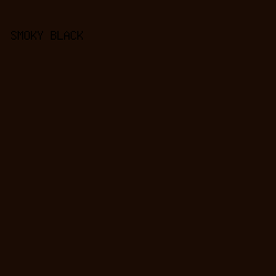 1b0c04 - Smoky Black color image preview