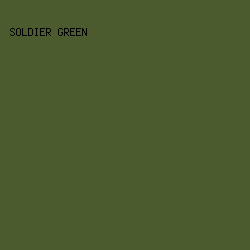 4C5B2E - Soldier Green color image preview