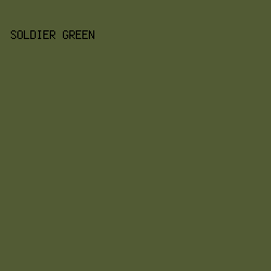 525B34 - Soldier Green color image preview