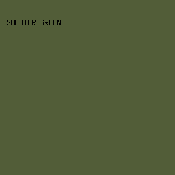 525d38 - Soldier Green color image preview
