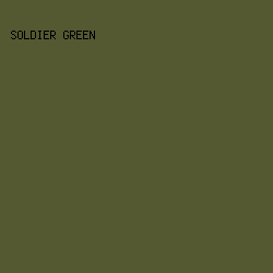 545932 - Soldier Green color image preview