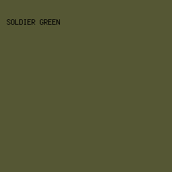555734 - Soldier Green color image preview
