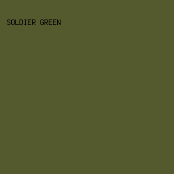 55592E - Soldier Green color image preview