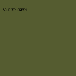 555c30 - Soldier Green color image preview