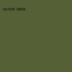 556036 - Soldier Green color image preview